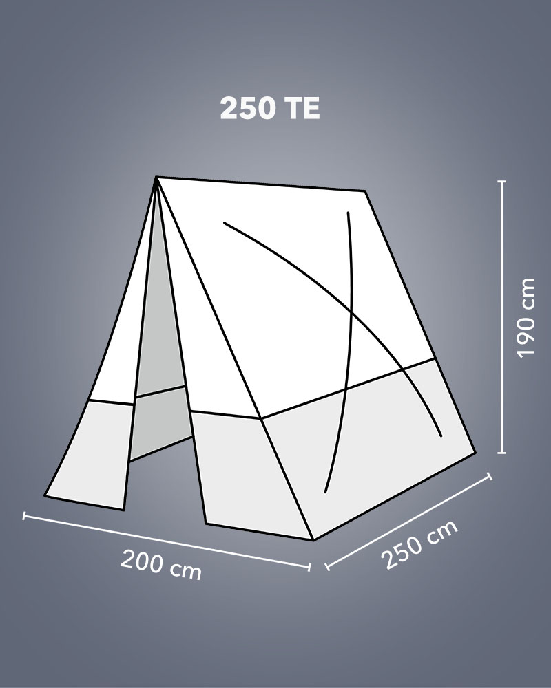 250 TE - afmetingen