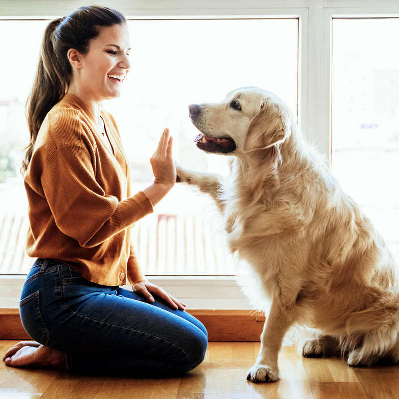 AirgoClean® 110 E - bij huisdieren