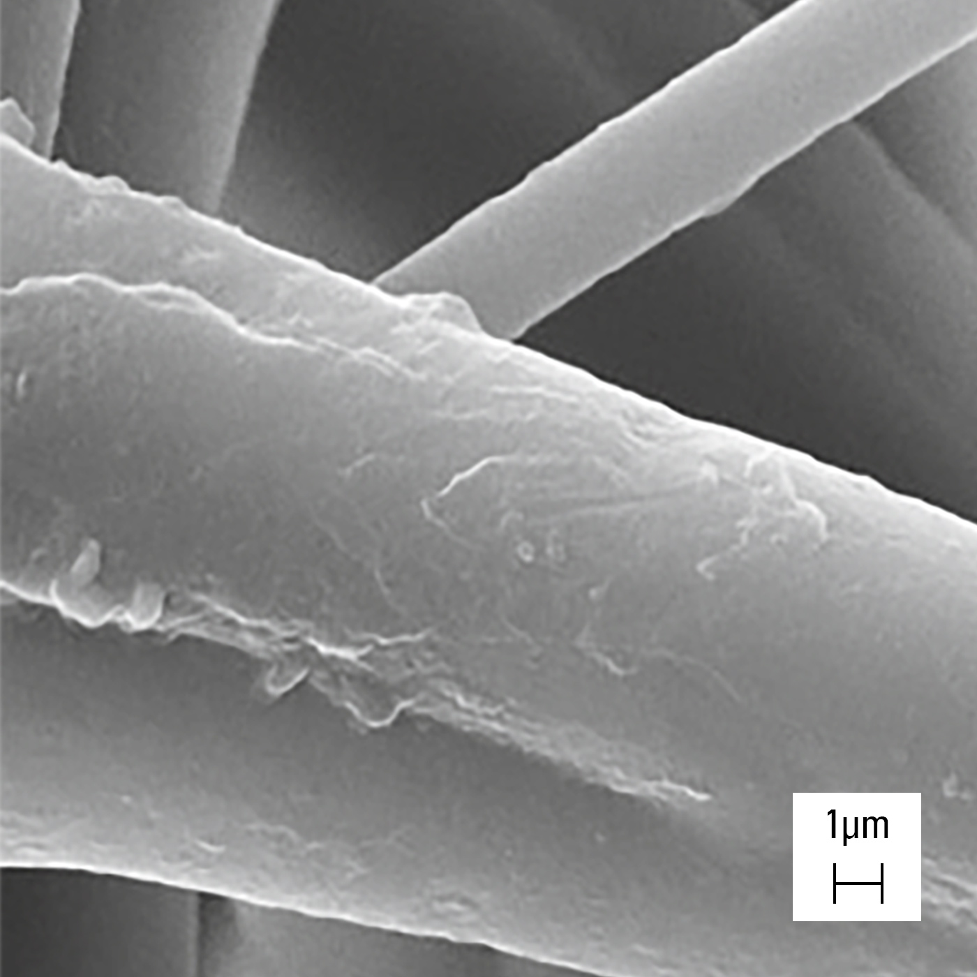 Filamentstructuur van een H14-filter onder de rasterelektronenmicroscoop